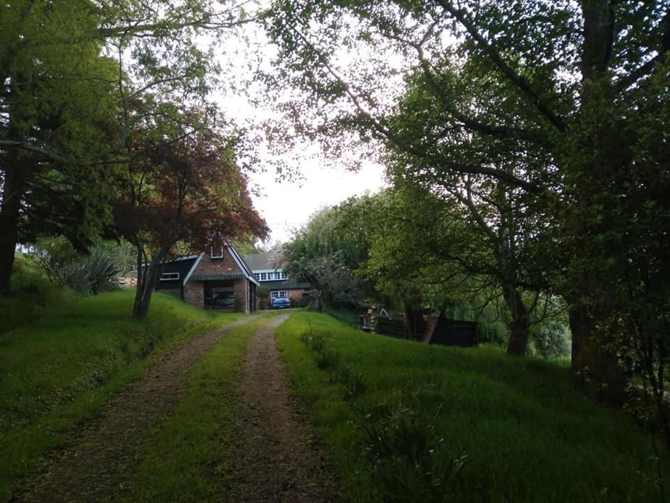 Arden Country House Bnb - Entire House To Yourself -Peace In The Country ダニーデン エクステリア 写真