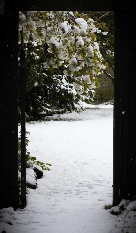 Arden Country House Bnb - Entire House To Yourself -Peace In The Country ダニーデン エクステリア 写真