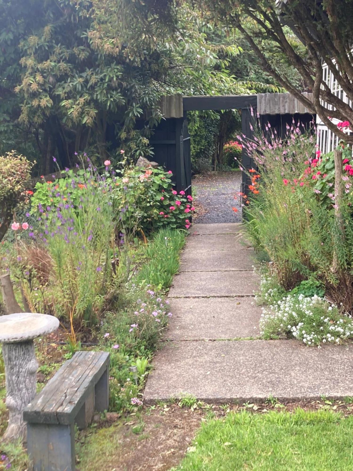 Arden Country House Bnb - Entire House To Yourself -Peace In The Country ダニーデン エクステリア 写真