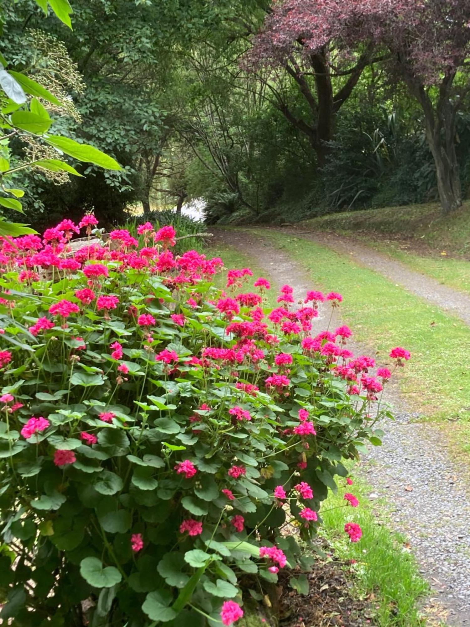 Arden Country House Bnb - Entire House To Yourself -Peace In The Country ダニーデン エクステリア 写真